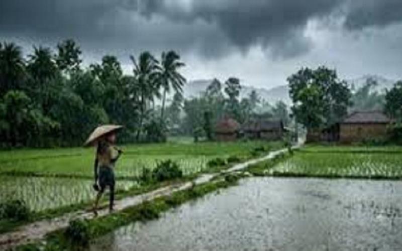  Rain alert for Chhattisgarh from July 1; Meteorological Department forecasts rainfall. raipur chhattisgarh hindi news khabargali 