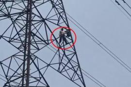  A villager climbed a high-tension electricity tower and accused the company of land grabbing. Raipur chhattisgarh hindi news khabargali 