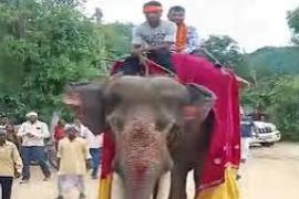 Father's unique celebration over son's government job: Son welcomed while riding an elephant; crowds gathered to witness the spectacle. hindi news latest news khabargali 