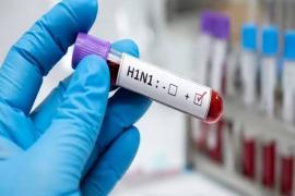 Swine flu cases surge; 10 new patients detected at once, taking the total count to 115. raipur hindi news khabargali 