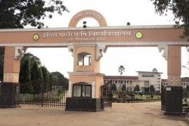 Exams for the leaked papers have commenced at IGKV; the examinations for three subjects had previously been cancelled. raipur chhattisgarh hindi news khabargali 