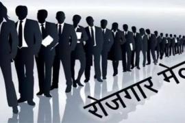 Two-day state-level job fair in Raipur; opportunity for recruitment to 8,720 posts. raipur hindi news raipur chhattisgarh khabargali 