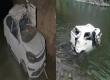 Horrific road accident in Chhattisgarh, car falls into river, 4 youths killed kawardha hindi news khabargali 