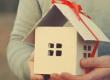  50% land registry discount for women, 25% stamp duty discount for soldiers, notification issued raipur chhattisgarh hindi news big news khabargali 