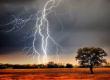 Lightning strikes children gathering mangoes in Ambikapur; 3 dead, including 2 young children. ambikapur chhattisgarh hindi news khabargali 