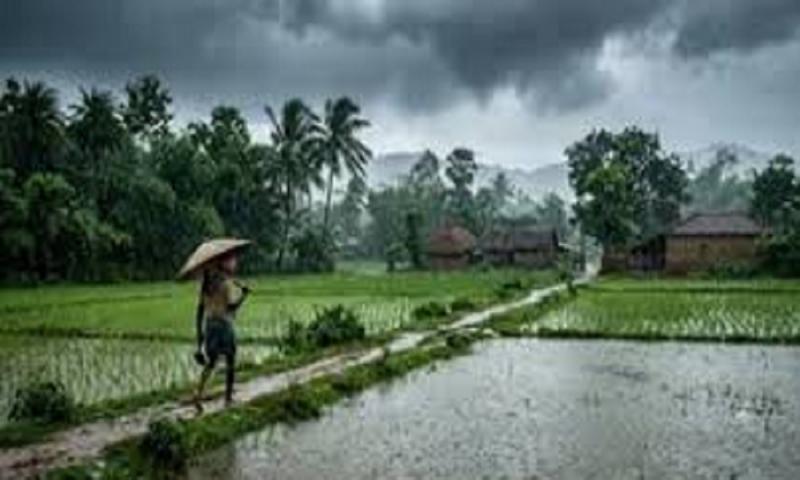 Rain alert for Chhattisgarh from July 1; Meteorological Department forecasts rainfall. raipur chhattisgarh hindi news khabargali 