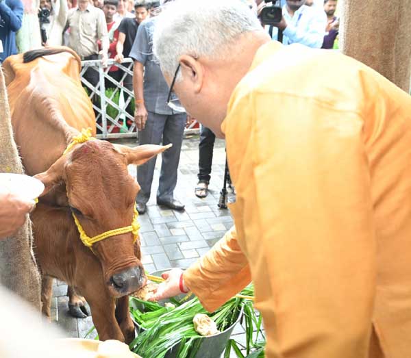 Hareli in the Chief Minister's residence, Chief Minister Baghel congratulated Hareli by riding on a Chhattisgarhian style swing and cart, running a lattu on his hand, traditional tools, instruments, animals and shepherd's clothes, exhibition of jewellery, khabargali