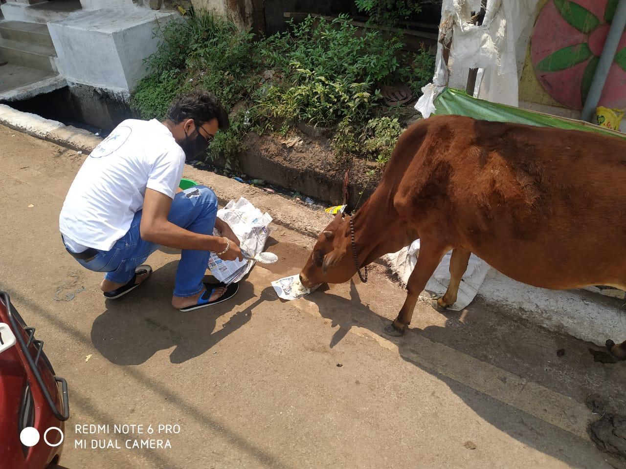 Neki kar, raipur youth social worker, khabargali
