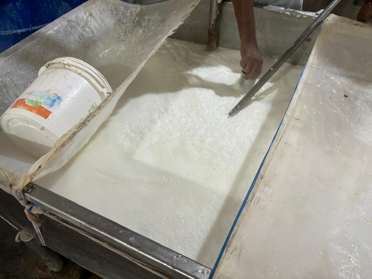 Poison in the name of Paneer.. 2500 kg fake Paneer seized from Birgaon factory, factory sealed, harmful chemicals in Paneer, Dalda palm oil, oil, refined flour, Food and Drug Administration Department Controller Chandan Kumar, Assistant Commissioner Mohit Behera, Nitesh Mishra, Food Safety Officer Rakhi Thakur, Kheer Sagar Patel, Ajit Baghel, Satish Raj, MFTL Staff, Prakash Parmar, Raipur, Chhattisgarh, Khabargali