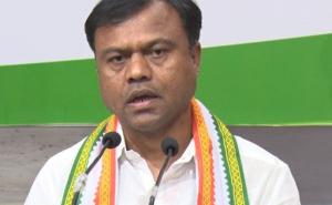 Cow politics rages in Chhattisgarh: Mysterious disappearance of 5 lakh cows, over 2.5 thousand deaths - Congress sharply attacks BJP; BJP leaders make a living in the name of mother cow: PCC Chief, Chhattisgarh, Khabargali