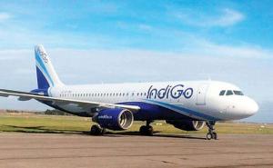 Passenger dies at airport, plane lands at Raipur airport hindi News latest news khabargali 