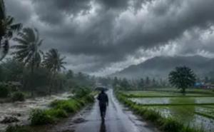 Monsoon arrives in Chhattisgarh; heavy rain and storms bring relief from the heat; Meteorological Department issues a warning. Latest News raipur news khabargali 