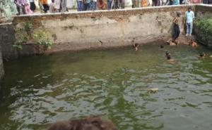 Two children drown in the stepwell of Chaturbhuji Temple; atmosphere of mourning in the area. raipur chhattisgarh latest news khabargali 