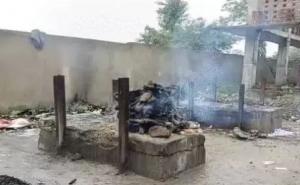 Uproar over pet dog's funeral at cremation ground; matter reaches police station bilaspur chhattigarh hindi news khabargali 
