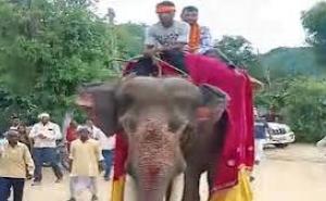 Father's unique celebration over son's government job: Son welcomed while riding an elephant; crowds gathered to witness the spectacle. hindi news latest news khabargali 