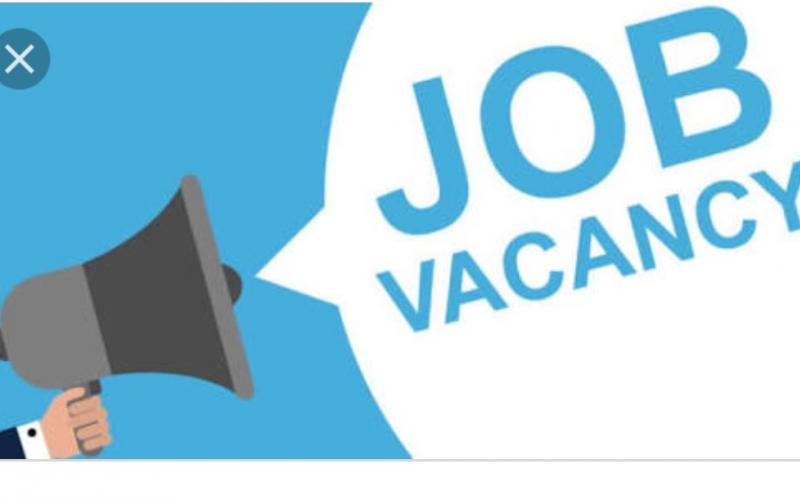 Job vacancy khabargali