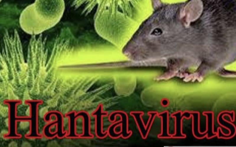 Hantavirus khabargali