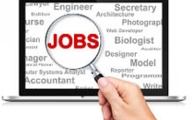 District Employment, Self-Employment Guidance Center, Online Placement Camp, Employment Office, Raipur, Khabargali