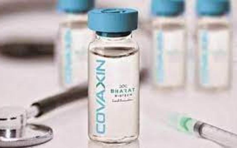 vaccine khabargali