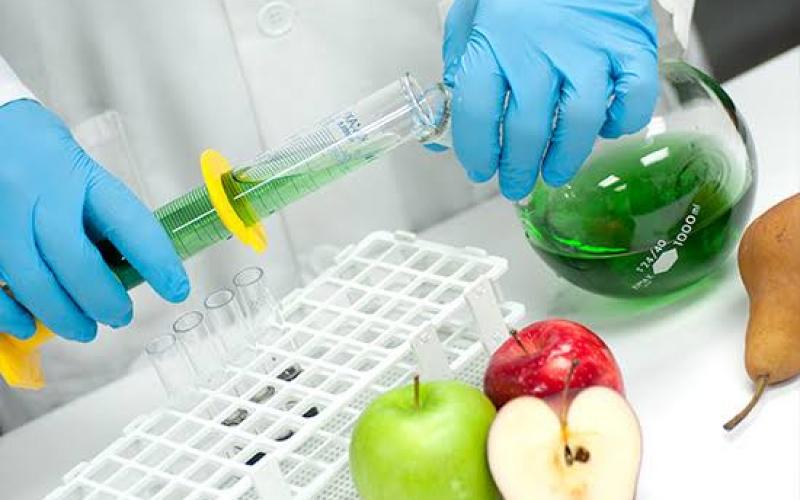 Food testing lab khabargali 