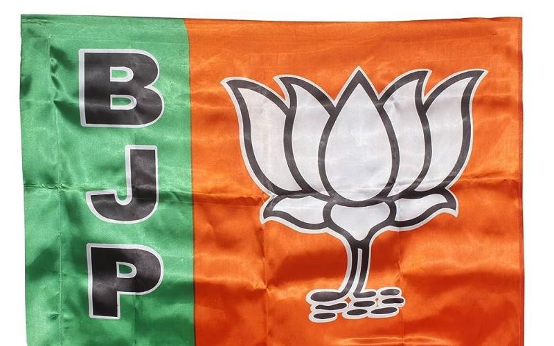 BJP released the list of authorized candidates of 64 assembly of Chhattisgarh, Chhattisgarh, Khabargali