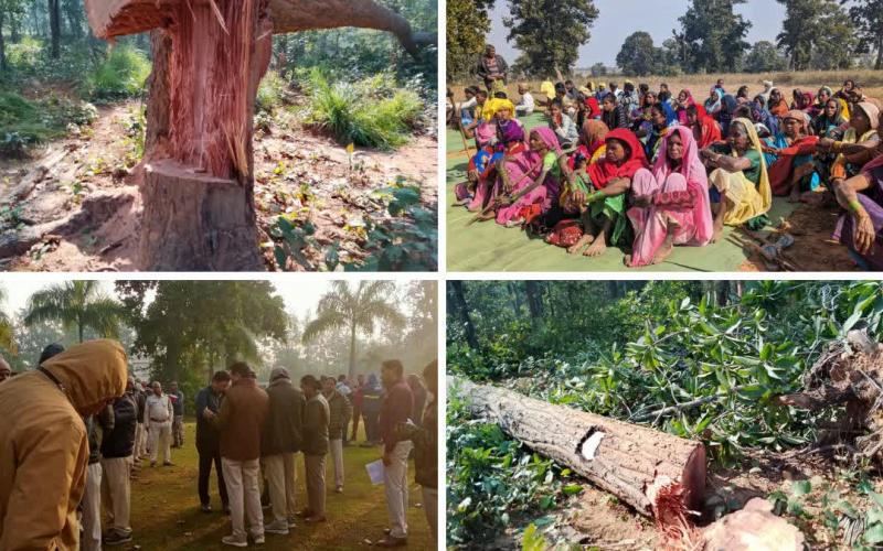 BJP state spokesperson and Raipur division in-charge former MLA Saurabh Singh, State Congress President Deepak Baij's allegations, killing of trees in Hasdev Bago and converting forests into cleared grounds, then Chief Minister Bhupesh Baghel and then Deputy Chief Minister TS Singhdev Chhattisgarh, Khabargali.