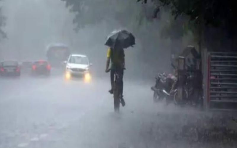 Meteorological Department issued warning regarding heavy rain in Chhattisgarh, alert issued for these districts...  cg news hindinews latestnews chhattisgarh news weather news cgbignews raipur news khabargali 