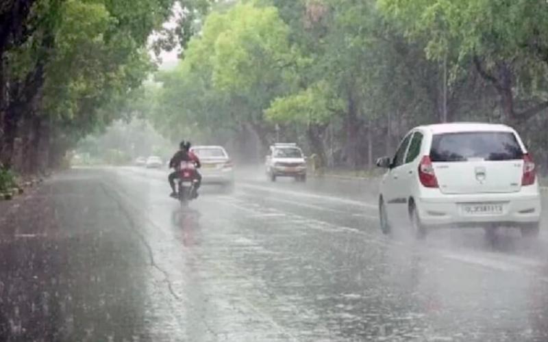Yellow alert of rain in 8 districts of the state today, Meteorological Department warned... Latest News big news  khabargali 