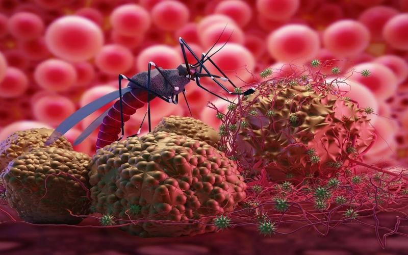 Malaria red alert with arrival of monsoon, 2 thousand cases... Latest news Hindi news cg big news khabargali 