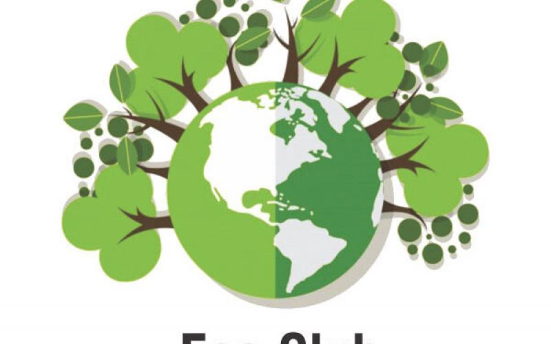 Eco Club will be formed in all the schools of Chhattisgarh to create awareness among children... Latest news Hindi news khabargali 