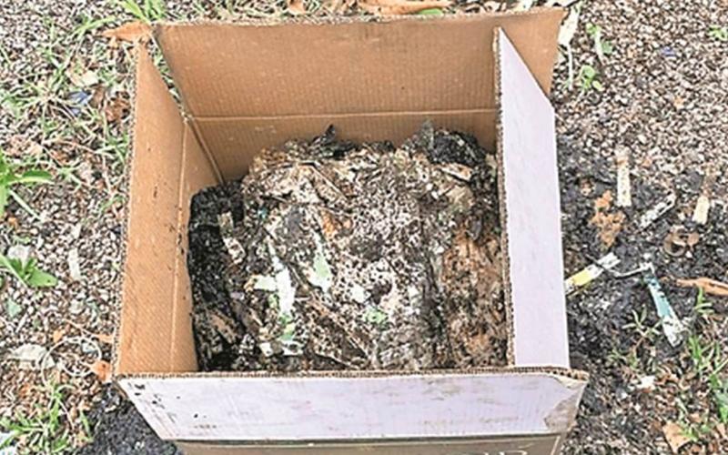 New revelations in liquor scam every day, five boxes of burnt fake holograms seized, Chhattisgarh, Khabargali