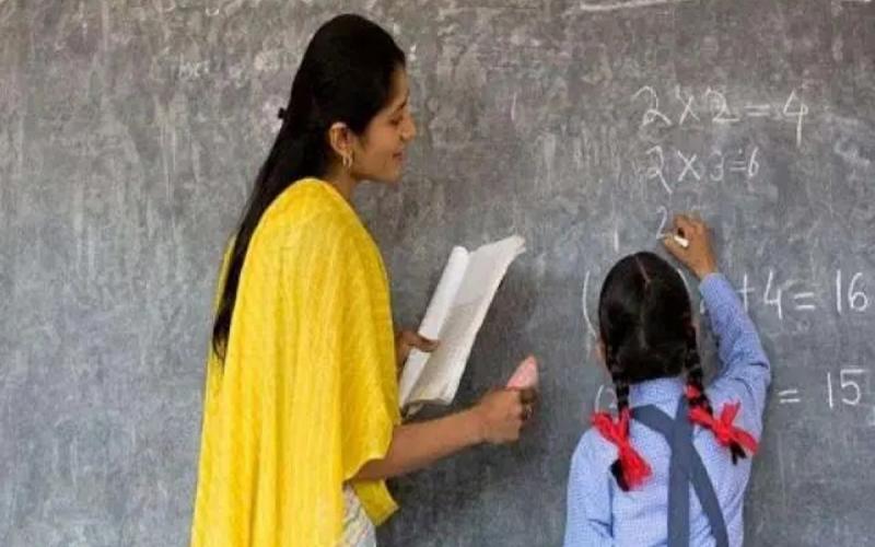 Recruitment for guest lecturer has started in the state, you can apply till this date... latestnews  hindnews  cg news  khabargali 