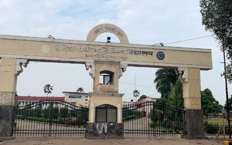 NIRF issued by the Government of India. Agricultural University got 39th place in the ranking... Hindi news Chhattisgarh news khabargali 