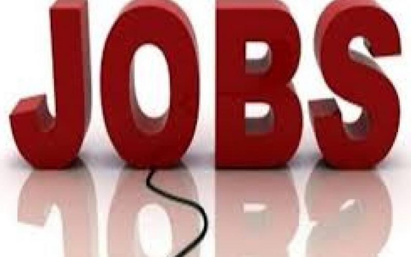 Employment fair organized for disabled people, recruitment will be done on various posts... Job news latest news khabargli 