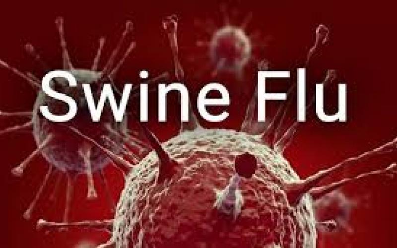 Swine flu, dengue and malaria alert in Chhattisgarh, number of positive patients reaches 72  cg news latestnews  swine flu alert khabargli 