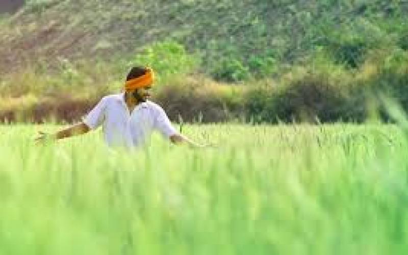 Farmers of Chhattisgarh got loan of more than Rs 6199 crore latet ns