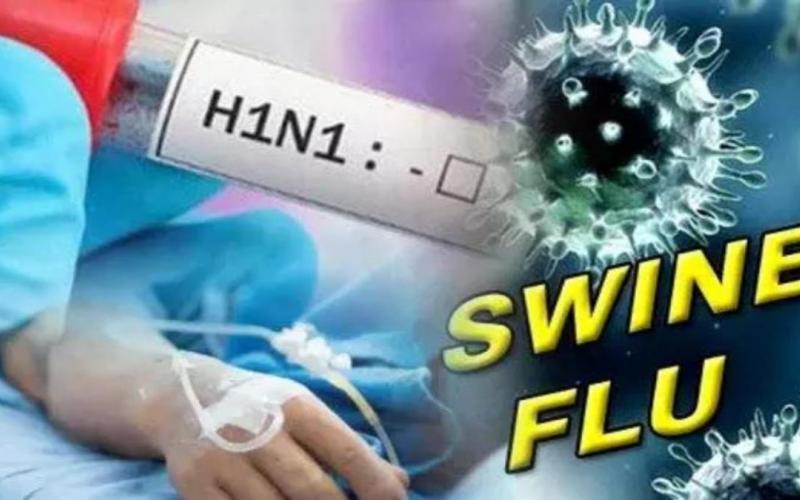 25 active patients of swine flu in the state, health department on alert...  swain flu raipurnews cg bignews hindi news latestnews khabargali 