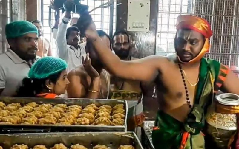 Maha Shanti Homa was conducted in Tirupati, Prasad kitchen was purified with cow urine, news of animal fat being mixed in Tirupati temple's laddu, Khabargali