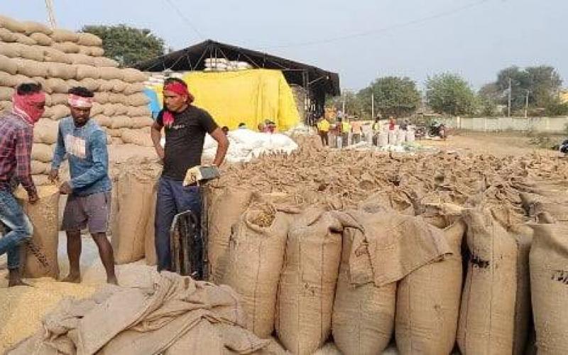 Paddy procurement will start in Chhattisgarh from November 15, Food Minister said - Government will buy 21 quintals at the rate of Rs 3100 per hundred... Cg news Raipur news cg big news khabargali 