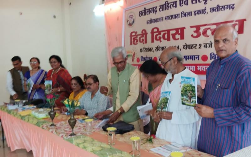 Chhattisgarh Literature and Culture's Hindi Day Program, Balodabazar-Bhatapara, Dr. Chittaranjan Kar, Linguist, Raipur, Dr. Sushil Trivedi, Writer Girish Pankaj, Baldev Bharti, Guest, Dr. Rashmi Lata Mishra, Shakuntala Tarar, Dr. Seema Nigam, Aparajita Sharma, Dr. Sudhir Sharma, Khabargali