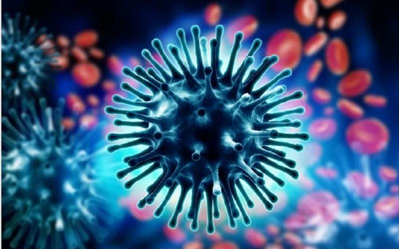 Swaine flu in CG: Swine flu out of control in the state, patient admitted in hospital for 36 days dies  cgnews 