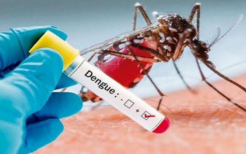 Death of dengue infected assistant professor who returned from Jaipur, 130 patients have been identified so far...cg news durg news hindiews khabargali