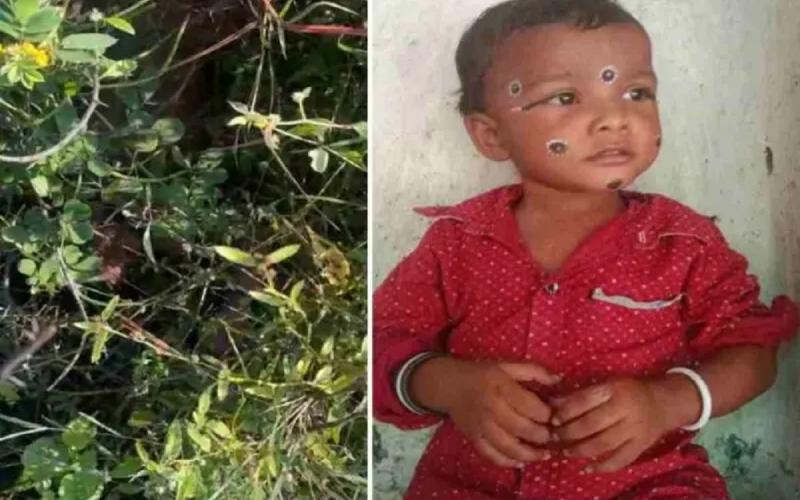 3 year old innocent murdered brutally, dead body found in bushes… cg big news hindi news CG big news khabargali 