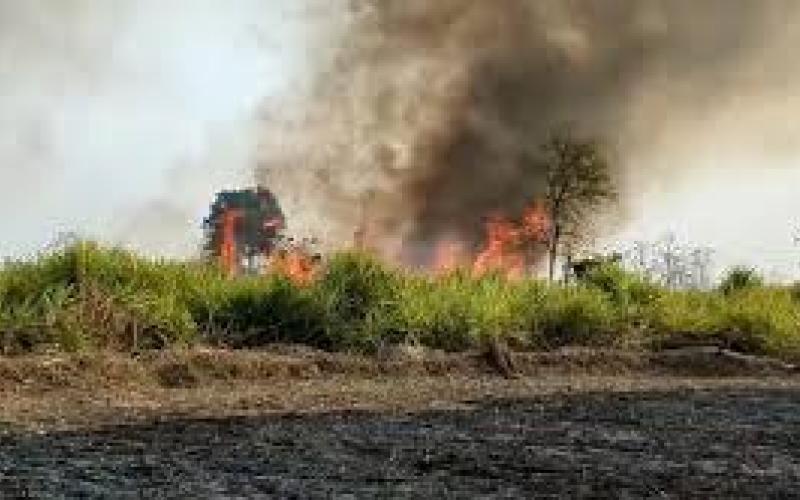 A massive fire broke out in the sugarcane field, more than 40 acres of crop burnt to ashes.  kawardha news cg big news hindi news khabargali 