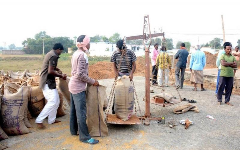 प्रदेश में पहले दिन 55 हजार मीट्रिक टन धान की खरीदी, 14567 किसानों ने बेचा धान खबरगली 55 thousand metric tons of paddy purchased in the state on the first day, 14567 farmers sold paddy Khabargali cg news hindi news cg big news latest news cg hindi news khabargali