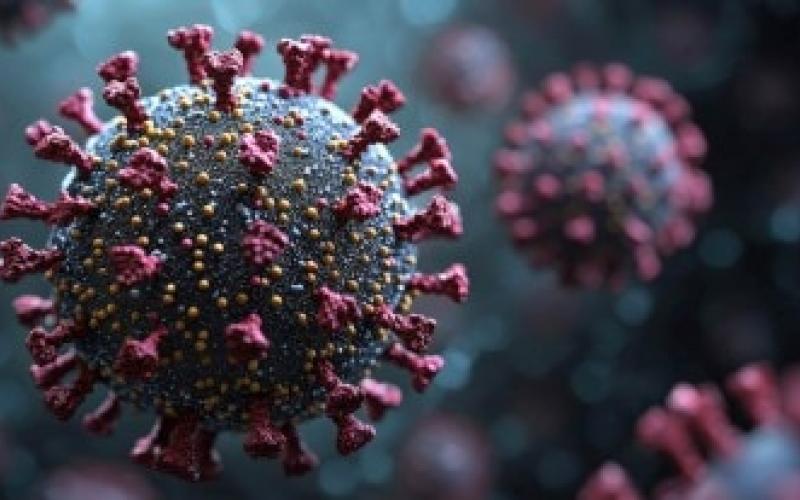 HMPV वायरस ने भारत में दी दस्तक, 6 मामले आए सामने  खबरगली HMPV virus hits India, 6 cases reported hindi news big news hmpv  virous latest new hindi news hmpv virous 