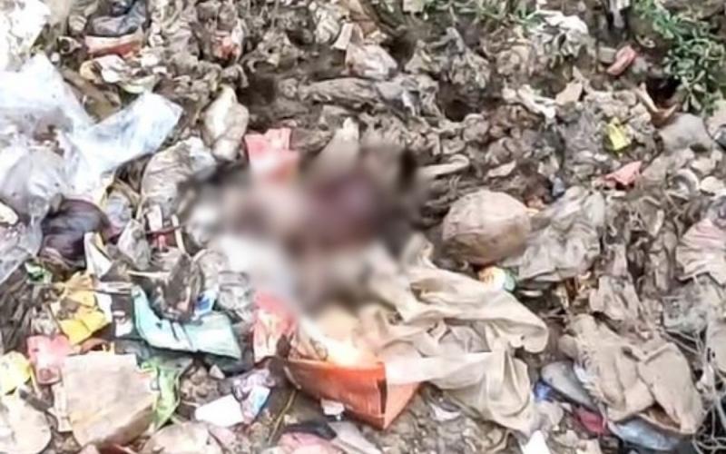 नाले में मिला नवजात का शव, इलाके में मचा हड़कंप खबरगली  Newborn's body found in drain, panic in the area   cg news cg big news hindi news cg latest news cg big news khabargali 