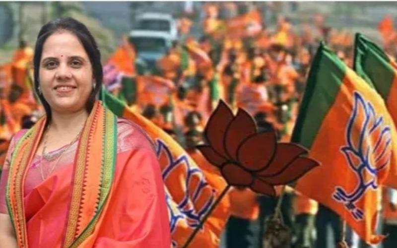 रायपुर में बीजेपी का मेयर, मीनल चौबे जीतीं, 1 लाख से ज्यादा मिल चुके वोट  खबरगली BJP's mayor in Raipur, Meenal Chaubey won, got more than 1 lakh votes cg news cg big news hindi news khabargali 