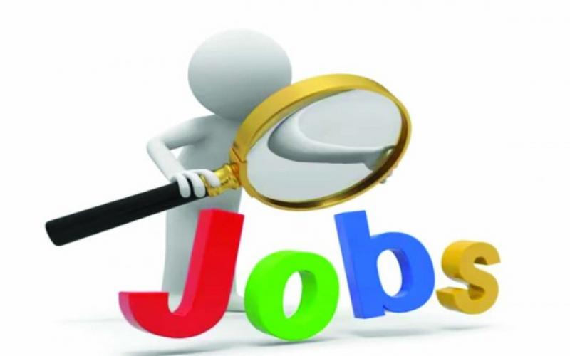 100 से अधिक पदों पर होगी भर्ती, 10वीं पास होना अनिवार्य  खबरगली There will be recruitment on more than 100 posts, 10th pass is mandatory  cg news cg hindi news cg jobs cg big news khabargali 