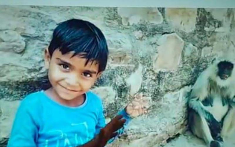 A tigress carried away a seven-year-old child; the family was going to invite him to a temple latest news hindi news khabargali 